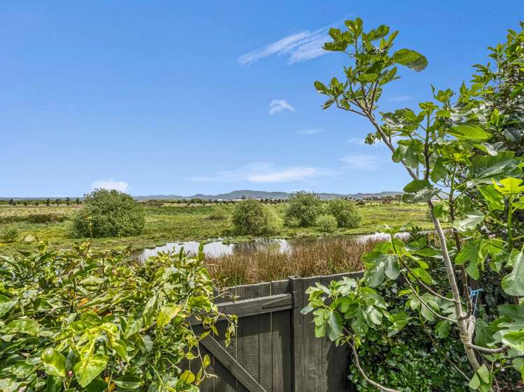 60 Gibson Place Papamoa_16