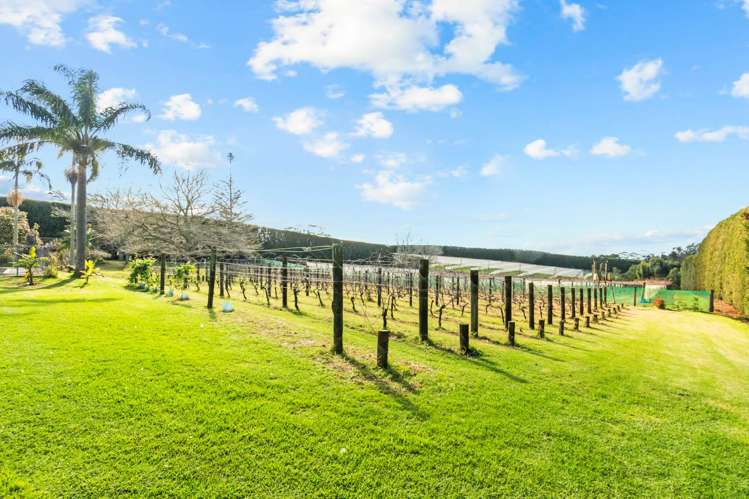 2374 State Highway 10 Kerikeri_31