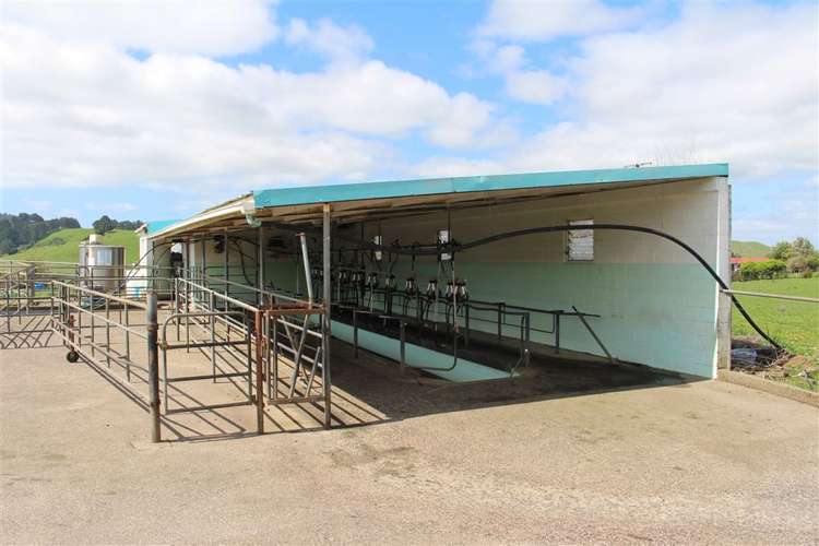 65 Willows Road Waihi_11