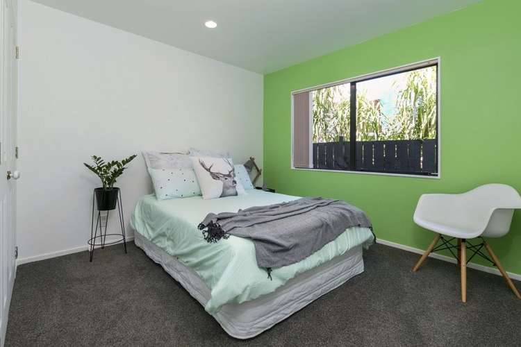 16b Horton Avenue Avondale_10