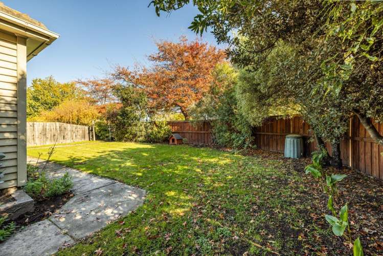 139 Carters Road Amberley_17