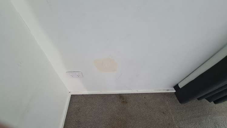 33 Kotuku Street Elsdon_5