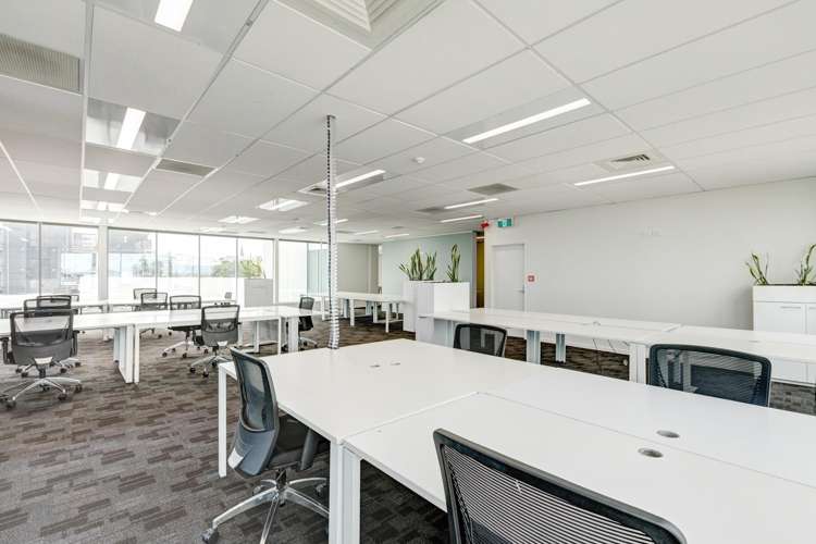 131 New North Road Eden Terrace_9