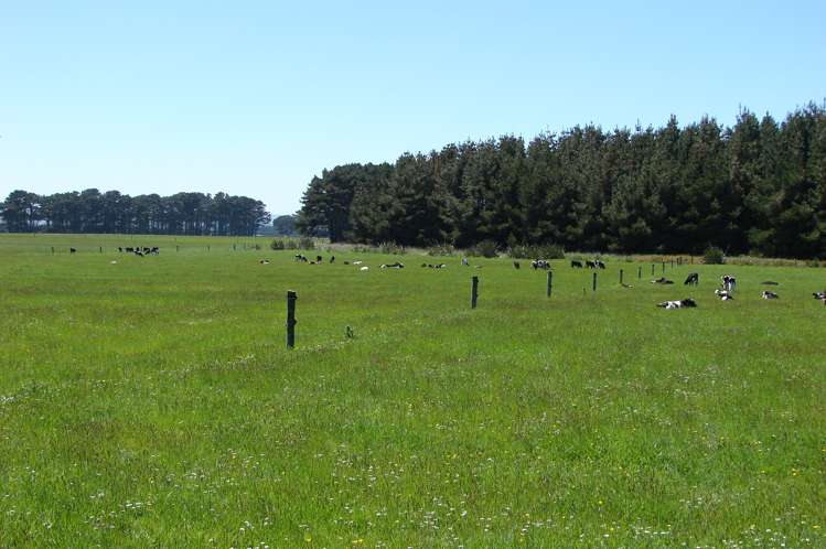 997 Waituna Lagoon Road Wyndham Surrounds_2