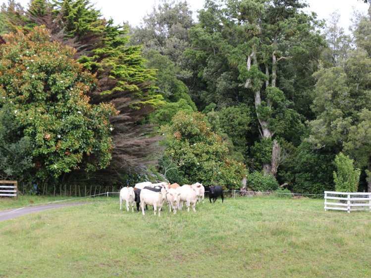 496 Tapapa Road Tapapa_20