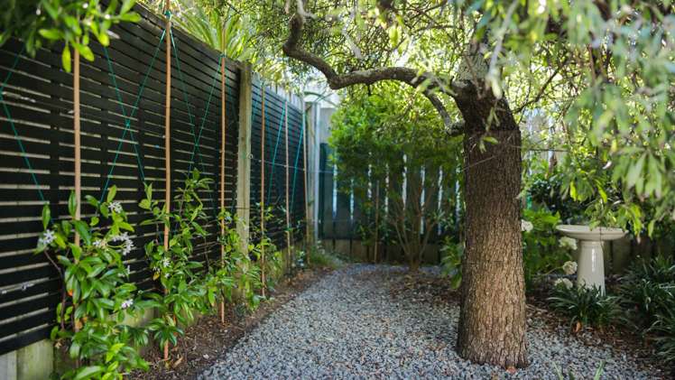 14 Brighton Street Island Bay_16