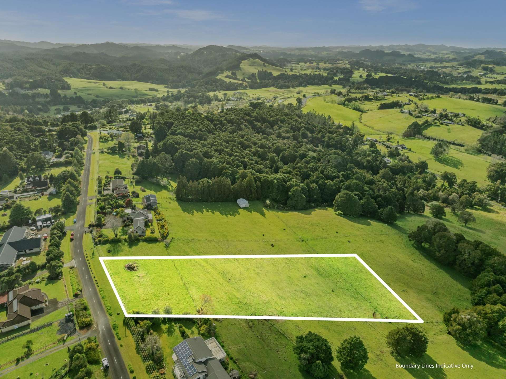 Waitaua Road Kauri_0