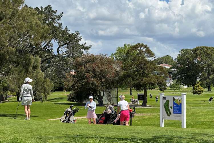 5A Morrison Avenue Devonport_29