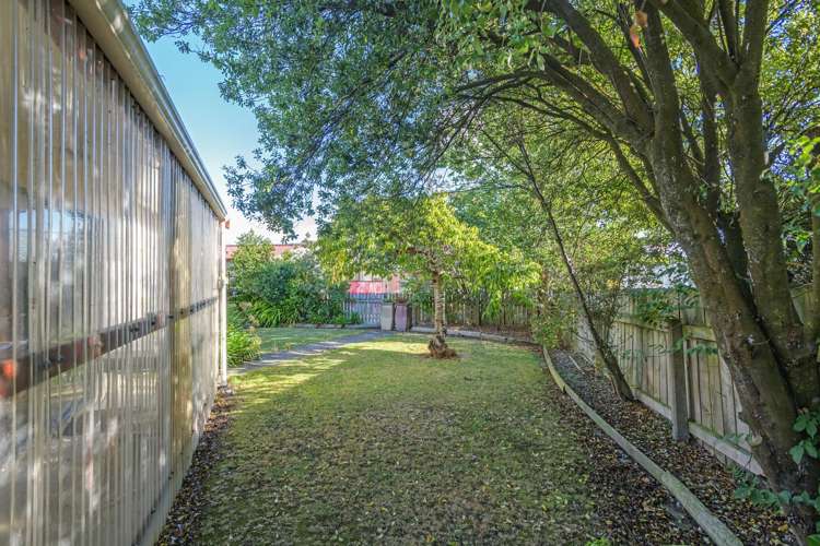 22 Campbell Road Bunnythorpe_14