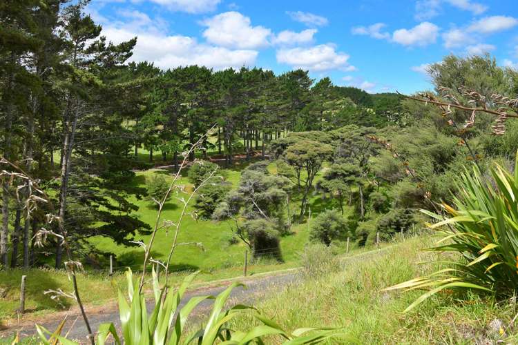 708 Wilson Road South Head_17