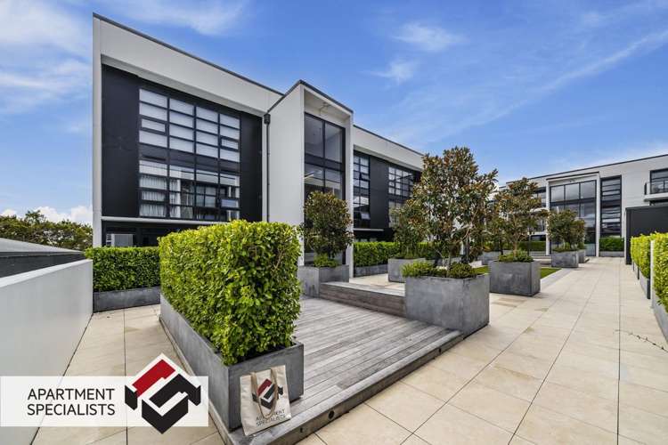 8 Kingsland Terrace Kingsland_17