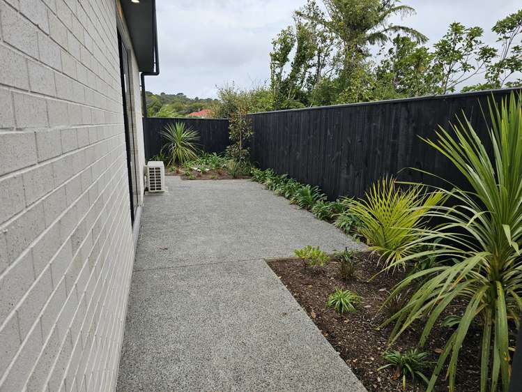 15 Ara Toutouwai Karori_16