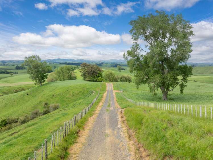 196 Waimanu Road Pukeatua_18