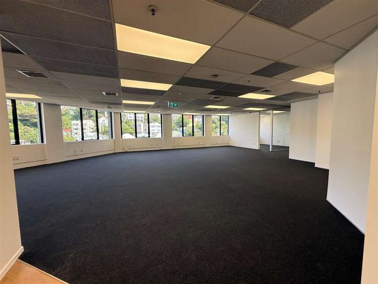 Level 6, 138 The Terrace Wellington Central_7