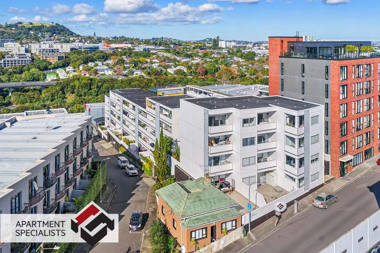 16 Chapman Street Grey Lynn_2