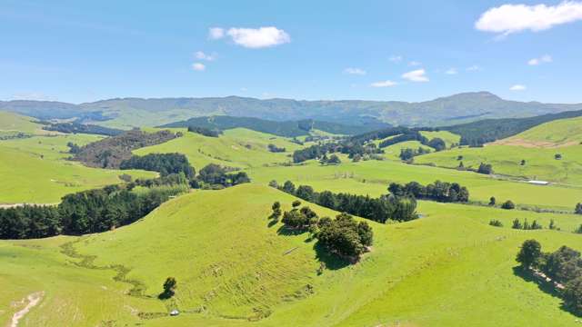 83 Towai Road Dannevirke_2