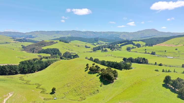 83 Towai Road Dannevirke_42