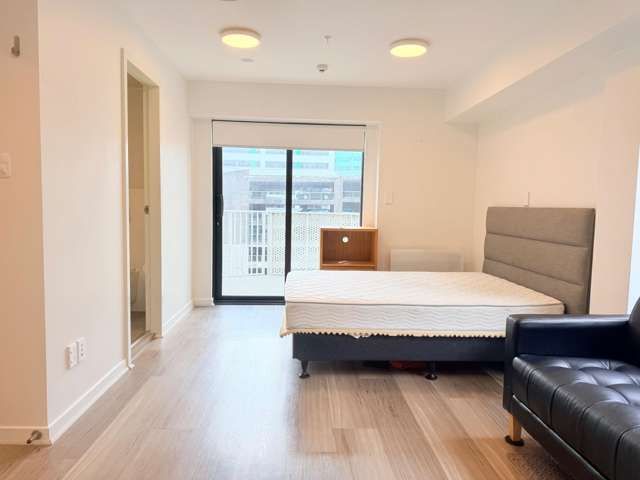 501A/111 Dixon Street Te Aro_1