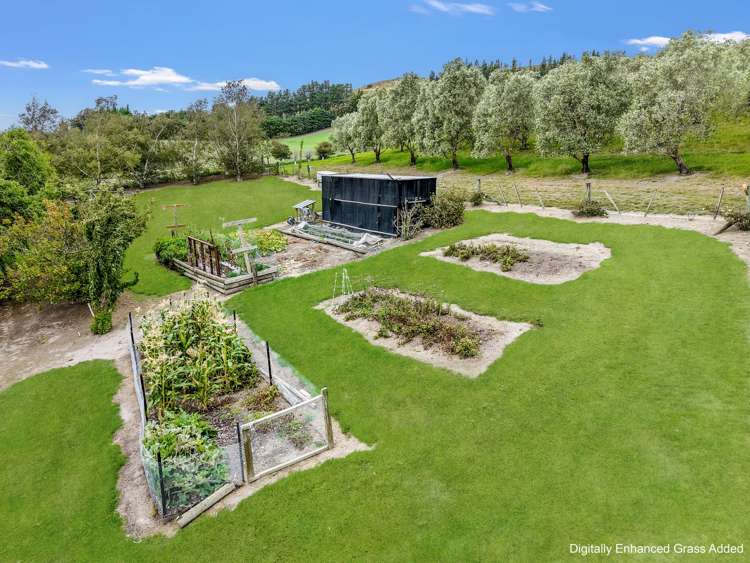 31 Kellaway Terrace Waikari_7