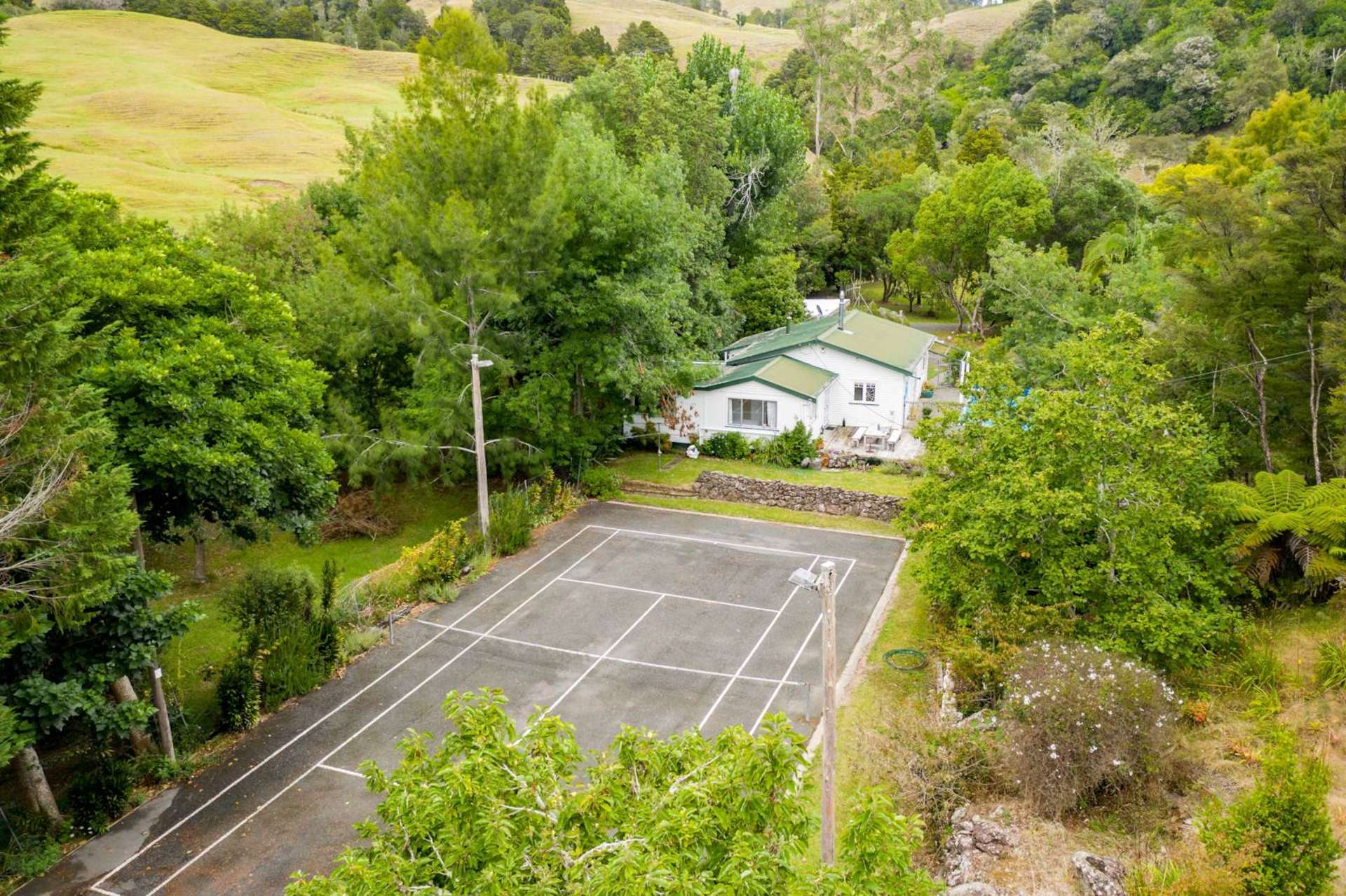 43 Percy Street Whau Valley_0