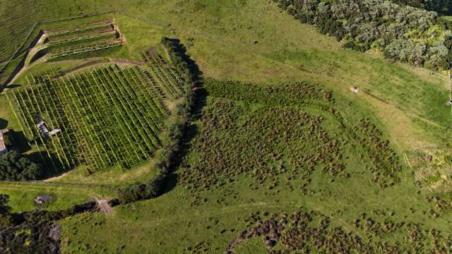 Mahinepua Road - Vineyard and Implement Sheds Mahinepua Peninsula_3