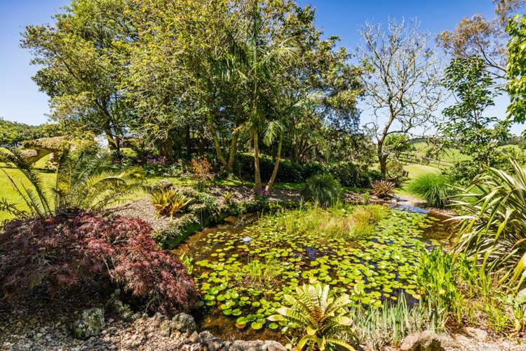 419 Hupara Road Pakaraka_58