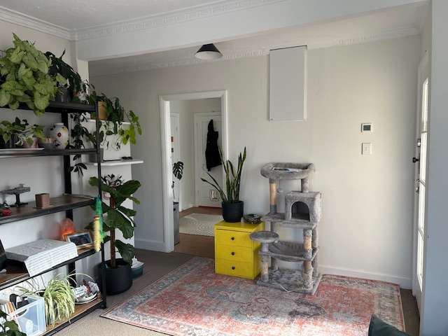 1/39 Brockworth Place Riccarton_4