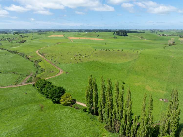 220 Waiomou Road, Okoroire Tirau_25