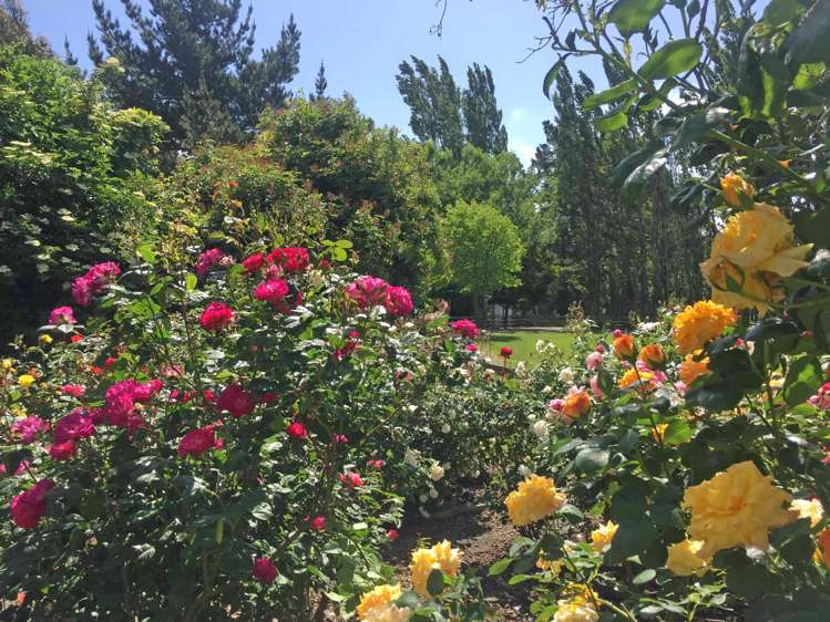 48 Longstaffs Road Prebbleton_32