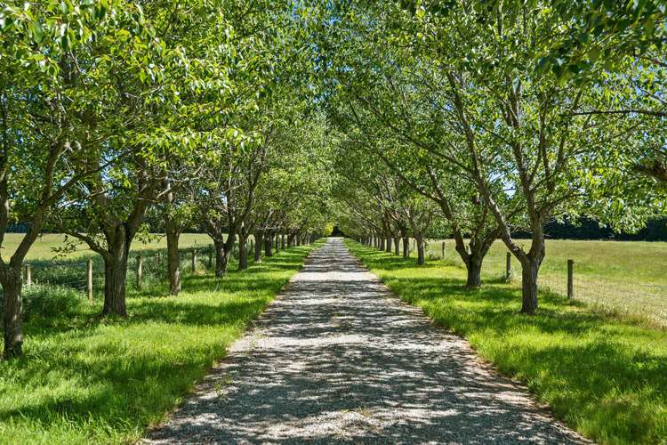 645 Selwyn Road Rolleston_17