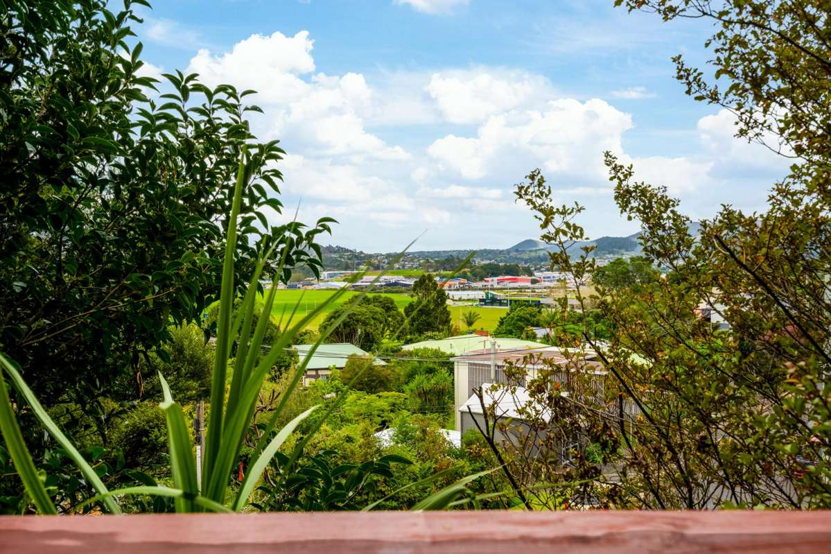 37 Tanekaha Drive_0
