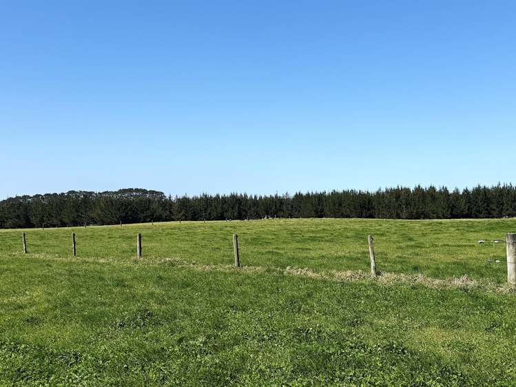 413a Baylys Coast Road Dargaville_23