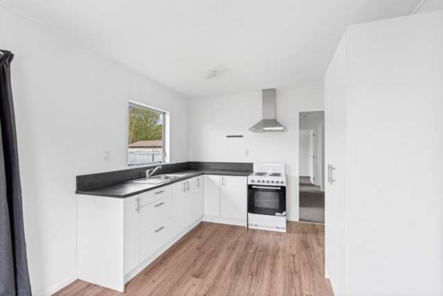 9 Guy Avenue Levin_2
