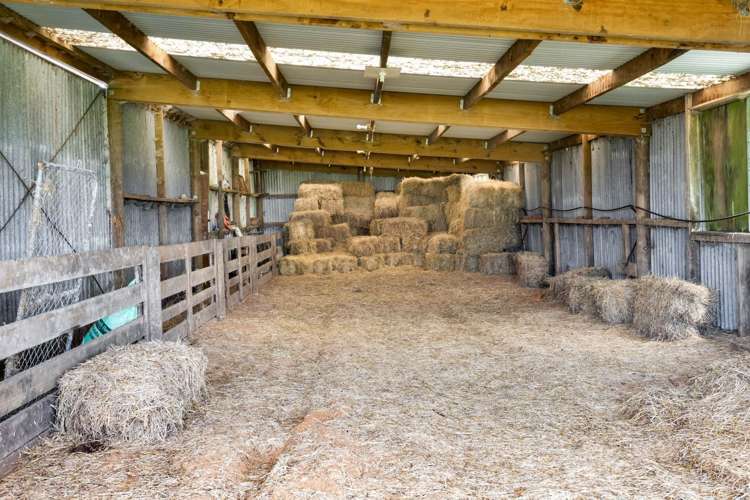 124 Kahouri Road Midhirst_20