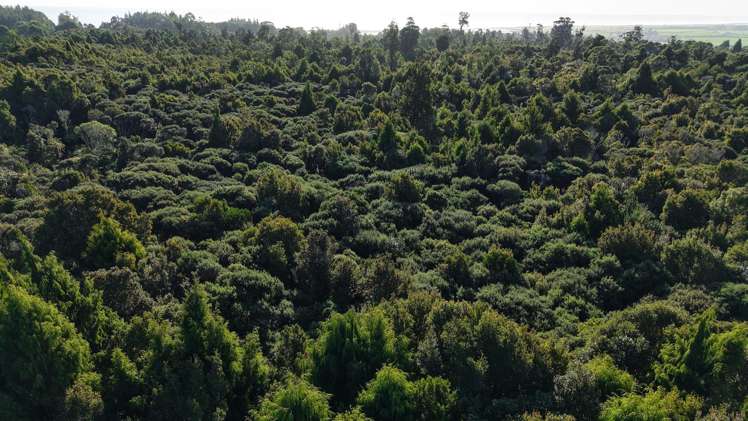Lot 1 South Terrace Road Karamea_25