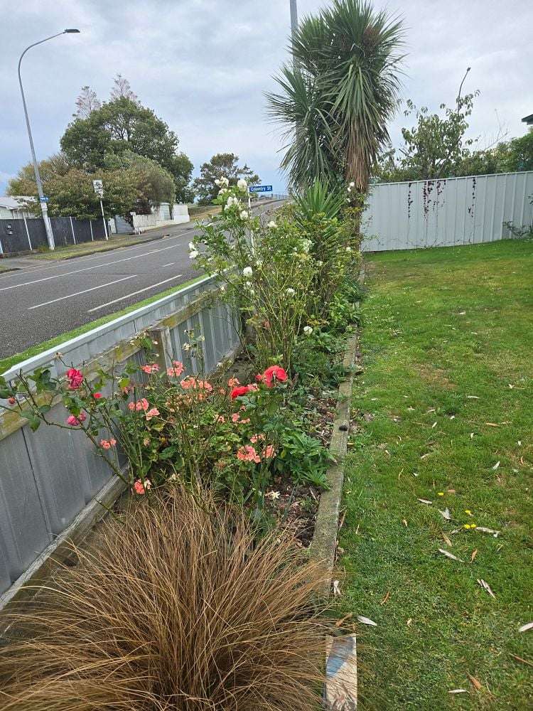 64 Highbury Avenue Highbury_6