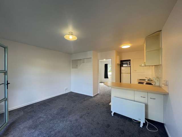 1/4 Wynyard Road Mount Eden_4