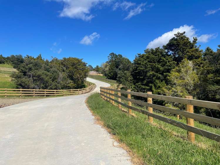 Mangawhai Bush Estate Mangawhai_10