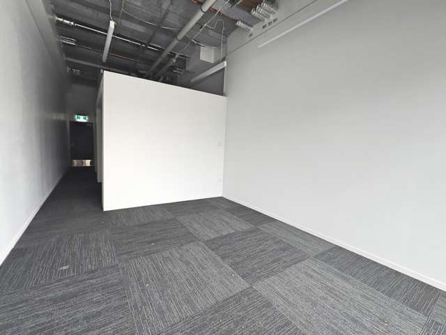 G04/428 Dominion Road Mt Eden_2