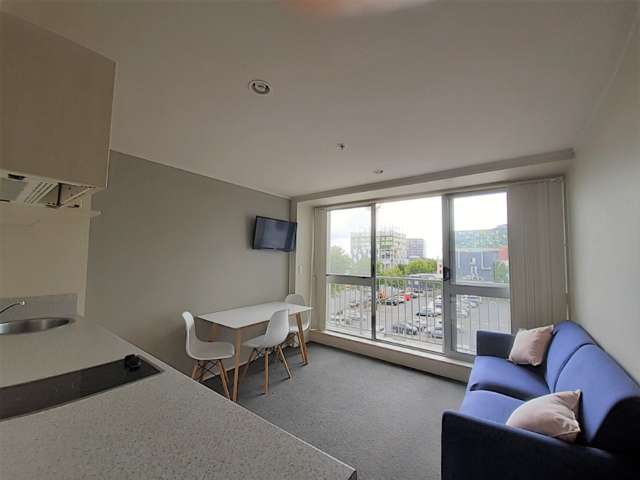 72 Nelson Street Petone_4