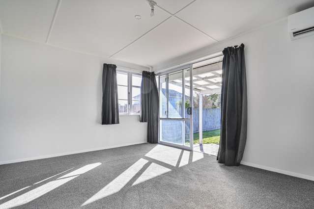 921 Bledisloe Street Raureka_4