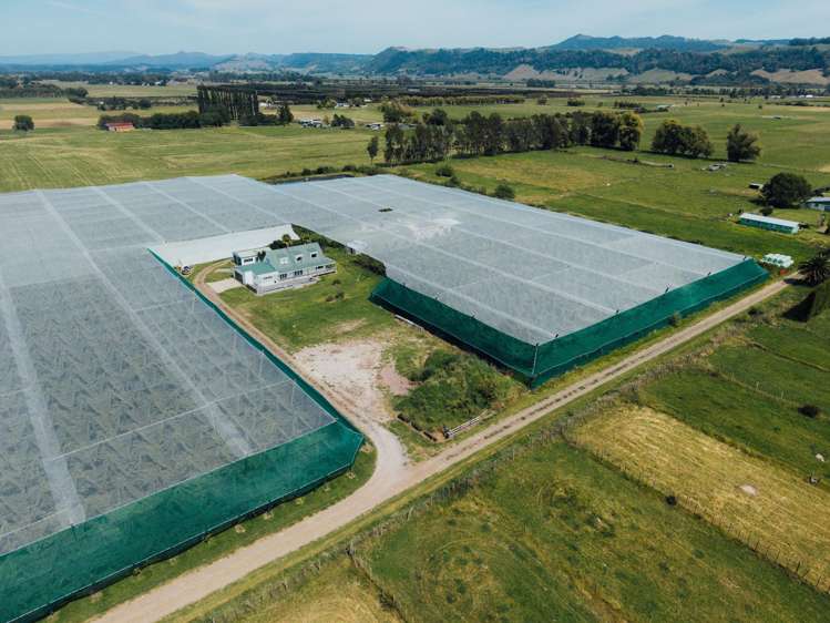 206 Awaiti South Road Otakiri_18