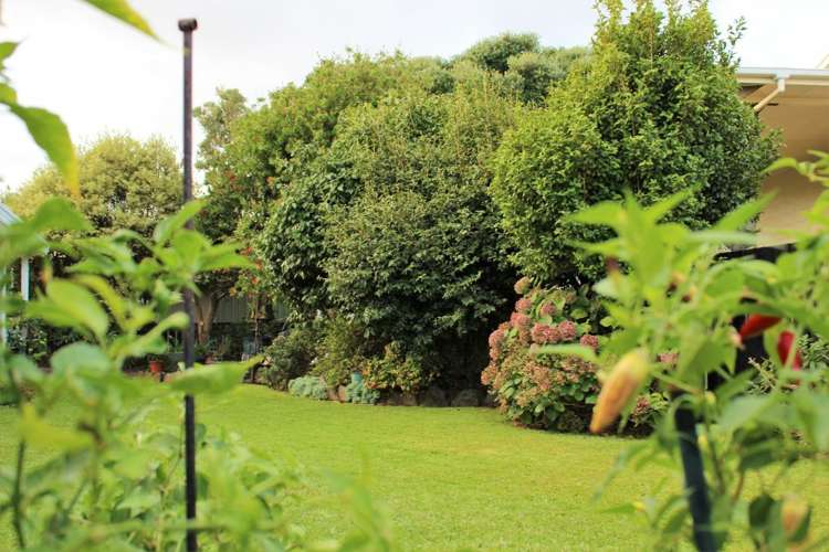 419 Ensor Street Thames_12