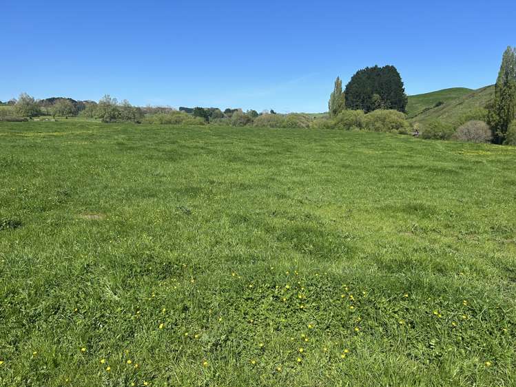 Lot 1, 51 Kiwi Road Pirongia_7