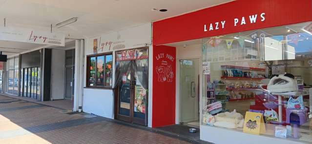 447 Lake Road Takapuna_3