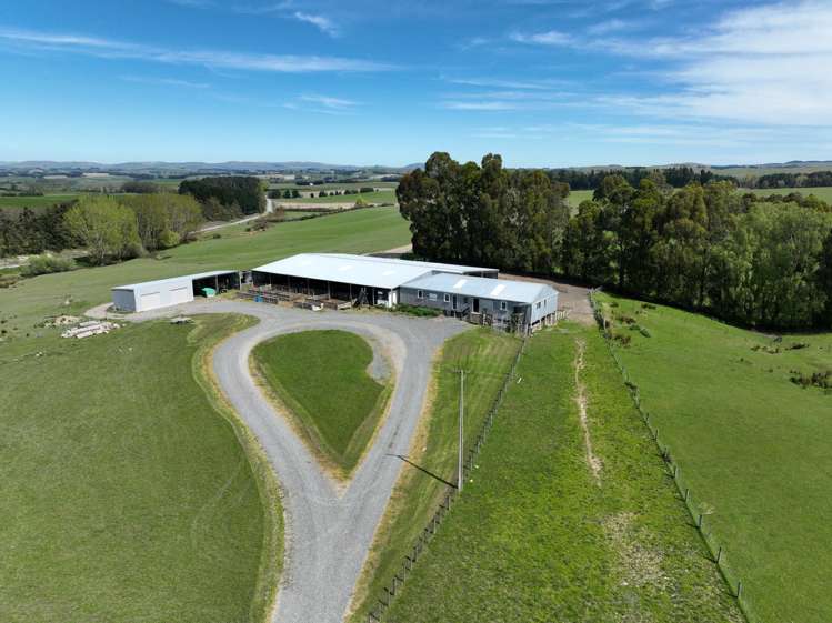 191 Chapman Road Wharetoa_7