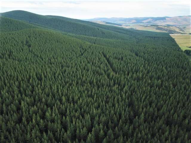 Southland Gisborne_2