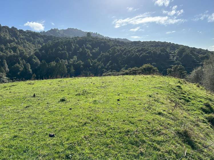 305 Waingaro Road Ngaruawahia_5