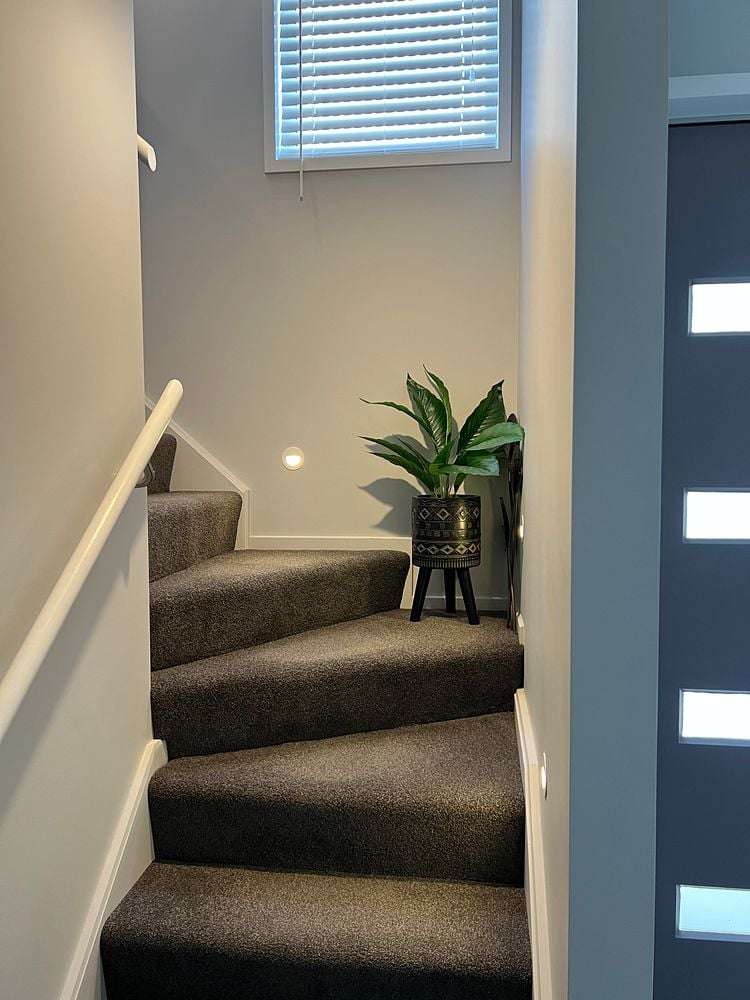 9B Hastings Street West Sydenham_9