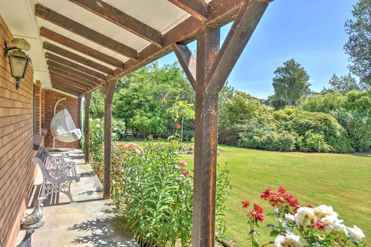 294 Sheddan Road Tapanui_5